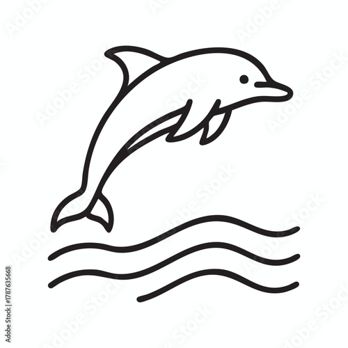 Dolphin jumping out of the water