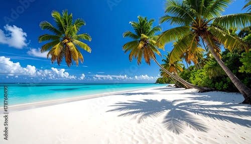 Fototapeta Naklejka Na Ścianę i Meble -  White sand beach meeting turquoise water, framed by tall palm trees against a vibrant blue sky with fluffy clouds
