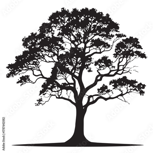 Black hall tree Silhouette Vector, High Quality Illustration on White Background