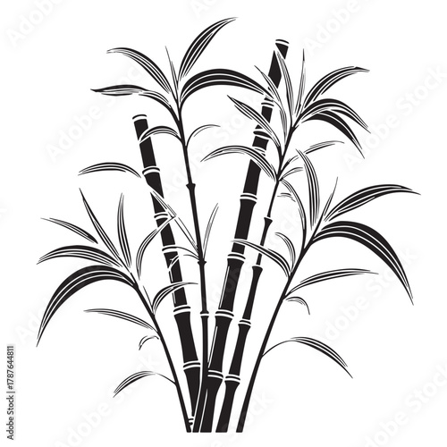 Black sugarcane Silhouette Vector, High Quality Illustration on White Background