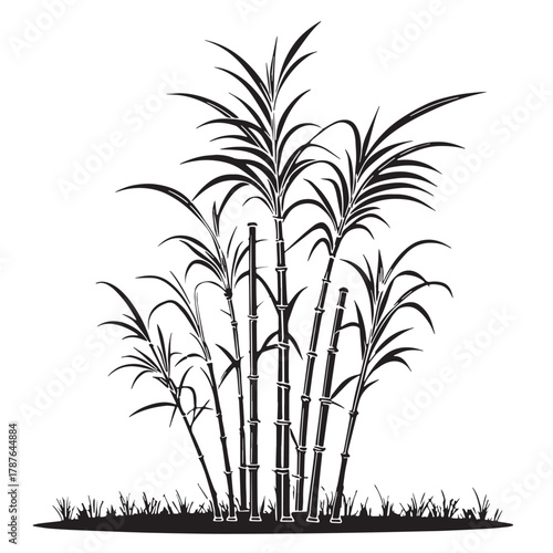 Black sugarcane Silhouette Vector, High Quality Illustration on White Background