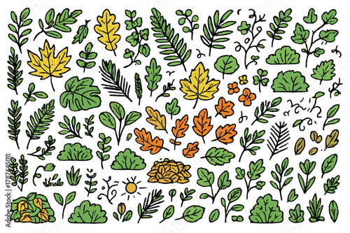 Colorful Seasonal Foliage. Seasonal foliage. Hand-drawn doodle illustration maple leaves (colored), oak leaves (colored), fern fronds (colored), ivy (colored),