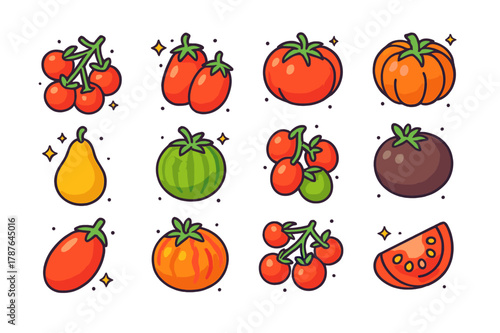 Colorful Tomato Varieties. Tomato varieties. Colorful isometric vector icons set of Tomato varieties: cherry tomatoes, plum tomatoes, beefsteak tomato,