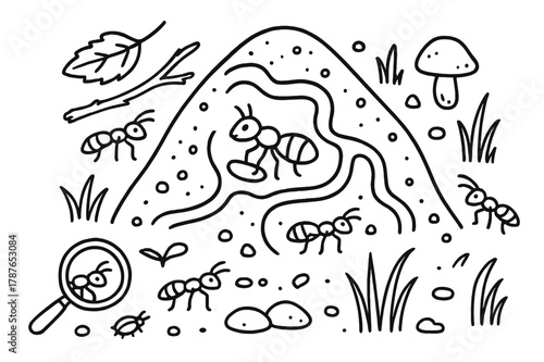 Detailed Anthill Doodle. Ant mound. Hand-drawn doodle illustration anthill, ants, tunnels, leaves, sticks, pebbles, magnifying glass, mushroom, grass, queen