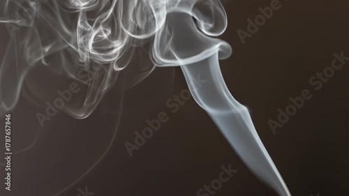 Wallpaper Mural Abstract Swirls of White Smoke Against a Dark Background. Torontodigital.ca