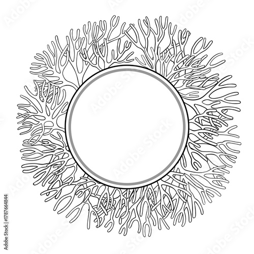 llustration, sea moss, irish moss, seaweed, underwater, algae, carrageen, kelp, frame, border, round, wreath, copy space, circular frame, circle, design, decor, decorative, stroke, hand drawn, contour