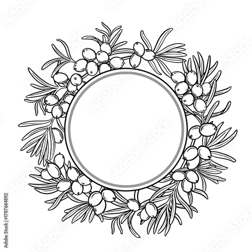 sea, buckthorn, frame, border, round, wreath, copy space, circular frame, circle, stroke, hand drawn, contour, line drawing, drawn line, outline, sketch, linear, thin, black, white, medicine, alternat