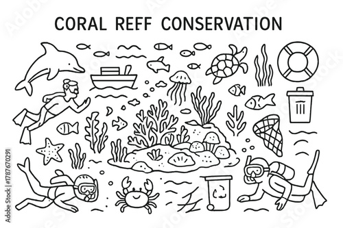 Coral Reef Doodles. Coral Reef Conservation. Hand-drawn doodle illustration Coral Reef Conservation coral reef, fish, turtle, dolphin, seaweed, crab, starfish,