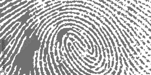Detailed close-up of a human fingerprint pattern, symbolizing identity and security