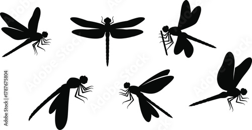 Dragonfly insect silhouette collection, isolated black vector shapes of dragonflies and damselflies for design, logo, and nature illustration concepts