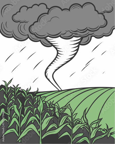 Tornado over agricultural field.