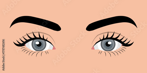 Close up of a woman's eyes