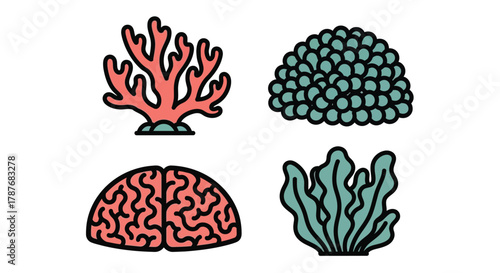 Illustration of four different types of coral on white background editable vector file