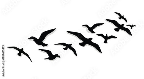Flock of birds soaring gracefully across a bright, white sky, symbolizing freedom and migration.