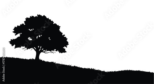 Solitary silhouette of a majestic tree on a grassy hill against a bright sky