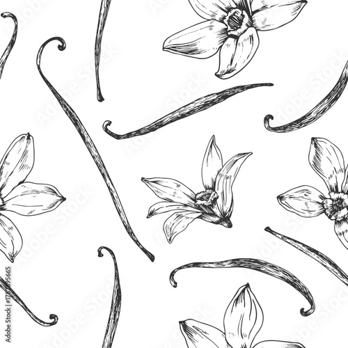 Vanilla hand-drawn vector seamless pattern. Black and white ornament with flowers and pods. Design elements for packaging of desserts, spices, and essential oils.