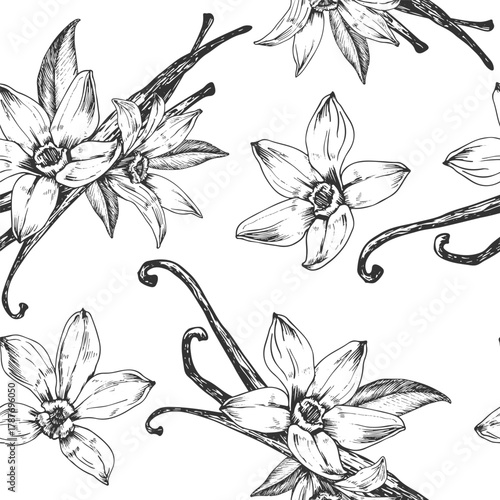 Vanilla hand-drawn vector seamless pattern. Black and white ornament with flowers and pods. Design elements for packaging of desserts, spices, and essential oils.
