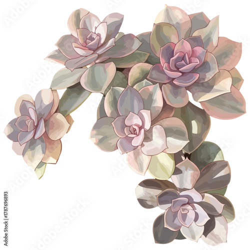 내가 키우는 다육식물을 그림스타일로 변형시킨 이미지