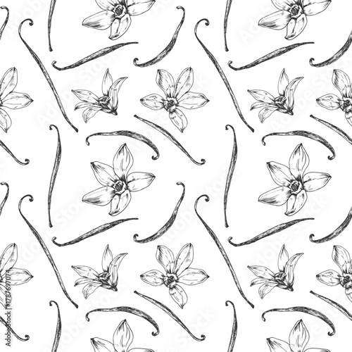 Vanilla hand-drawn vector seamless pattern. Black and white ornament with flowers and pods. Design elements for packaging of desserts, spices, and essential oils.