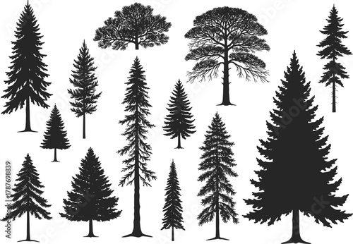 PrintCollection of different tree silhouettes, pine, oak, and spruce forest vector set, black natural woodland elements for landscape and design