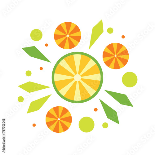 Colorful Abstract Citrus Fruit Slices and Geometric Shapes orange