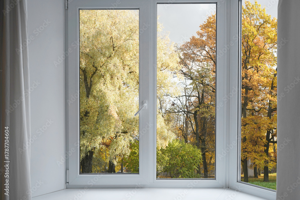 Obraz premium View from the window on yellow treesin a garden, landscape with autumn forest, window frame.