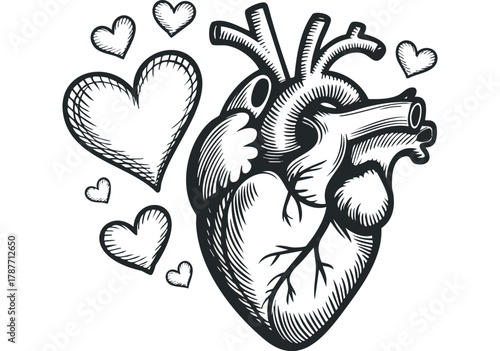 Anatomical Heart Surrounded by Doodle Hearts