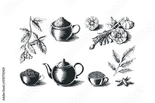 Hand drawn vintage tea and spice ingredients collection