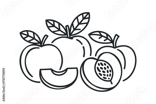 Line Drawing of Peaches and Leaves