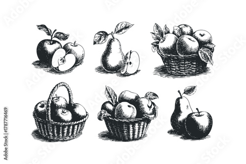 Collection of Hand Drawn Apples and Pears in Baskets
