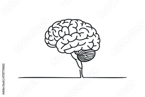 Line Drawing of Human Brain with Cerebellum and Spinal Cord