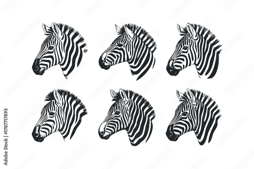 Obraz premium Six Stylized Zebra Head Portraits With Black Stripes