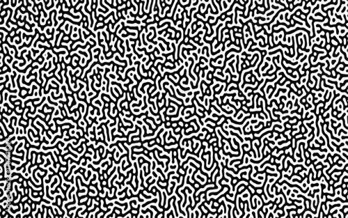 Turing reaction diffusion monochrome seamless pattern with chaotic motion .Linear design with biological shapes. Organic lines in memphis. abstract turing organic wallpaper background .	