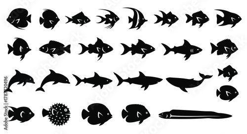 Vector art of diverse collection of fish silhouettes, featuring various species like sharks, dolphins, and tropical fish