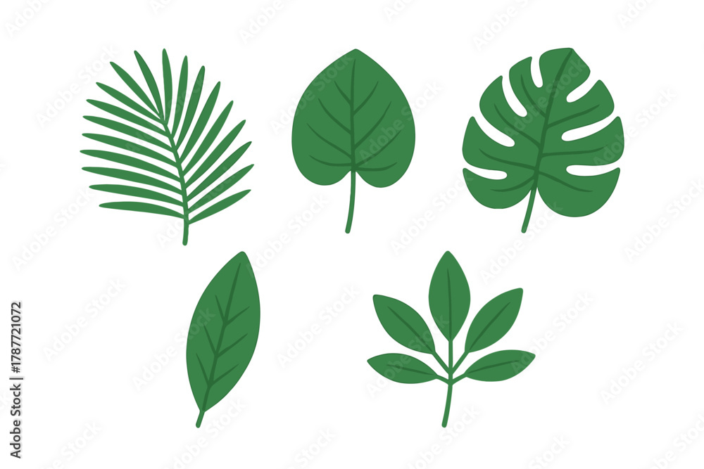 Fototapeta premium Five stylized green tropical plant leaves isolated on white background