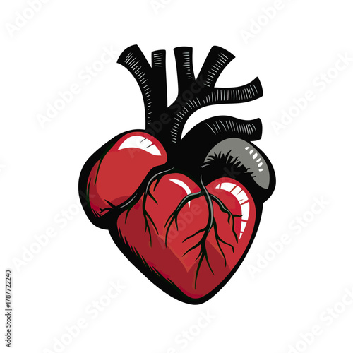Detailed stylized anatomical human heart illustration with prominent arteries and veins in flat minimalist vector style on white background for medical and educational use