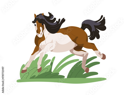 Pony, small horse. Cute active foal running, jumping and frolicking in grass field in nature. Thoroughbred equine animal galloping with energy. Flat vector illustration isolated on white background
