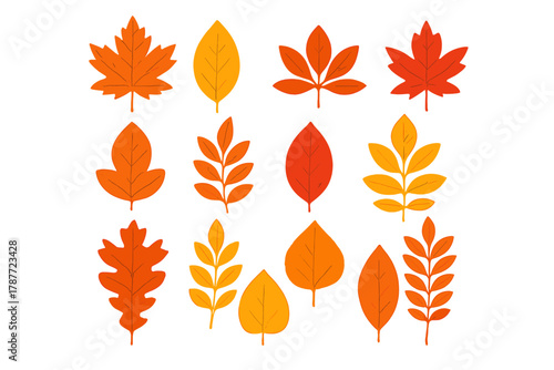 Colorful assortment of autumn leaves in warm orange and yellow tones