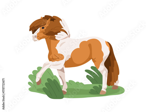 Pony, thoroughbred foal. Small dwarf horse, spotted breed with tail, side view. Miniature purebred equine animal in countryside, rural nature. Flat vector illustration isolated on white background
