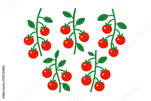 Ripe red cherry tomatoes growing on green vines and leaves