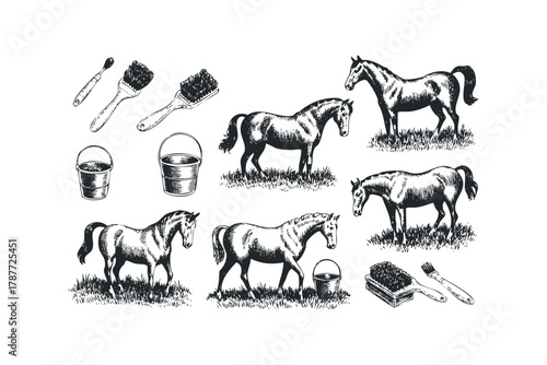 Vintage horse grooming tools and equines in grassy meadow