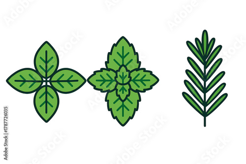 Fresh culinary herb leaves icons featuring mint and rosemary sprigs
