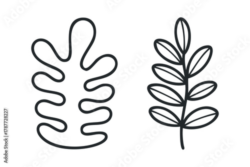 Organic shapes and botanical outline art