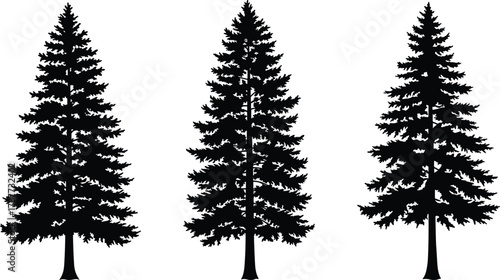 PrintPine tree silhouettes, black evergreen conifer forest illustration, isolated fir trees on white background, vector nature design, outdoor woodland graphic art
