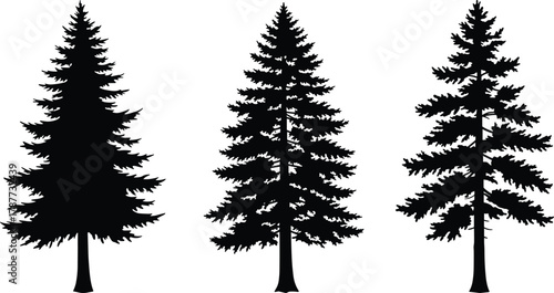 PrintPine tree silhouettes, black evergreen forest illustration, fir trees isolated on white background, vector nature design, outdoor woodland art, landscape graphic