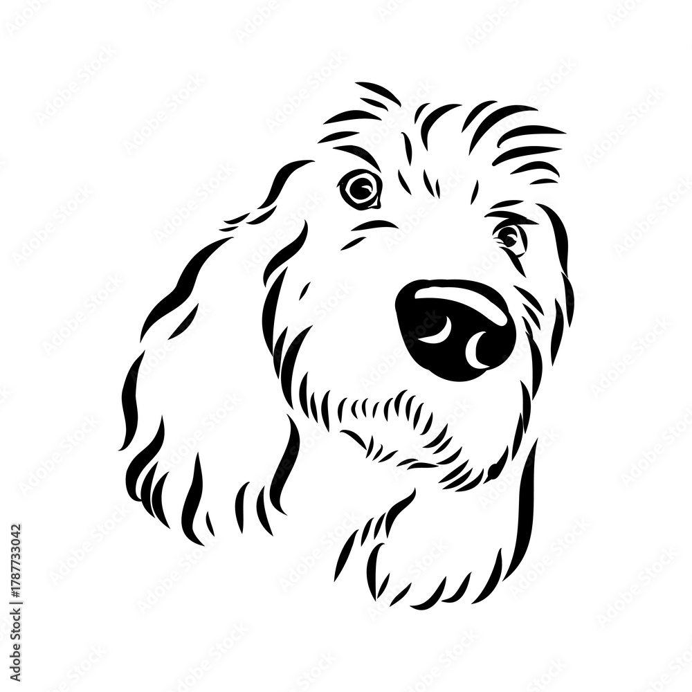 Fototapeta premium Gascon griffon, dog, vector sketch