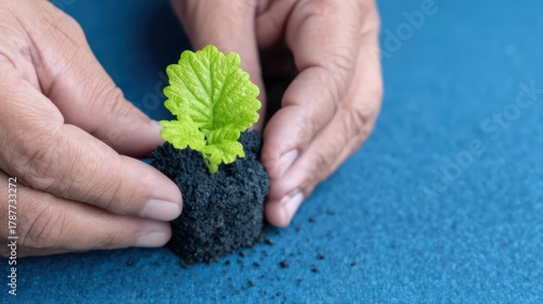 Hands Nurturing Young Plant Seedling in Soil on Blue Surface for Gardening and Sustainable Agriculture Concepts