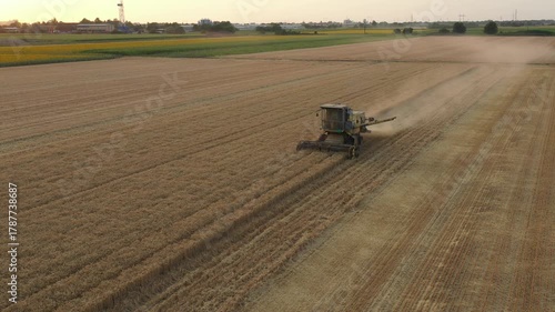 Above view of agricultural, obsolete, old fashioned rusty yellow combine, harvester as he cutting, harvesting mature wheat on farm fields. Harvest time in summer, season. 