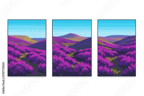 Vibrant purple heather flower fields across rolling hills under bright sky