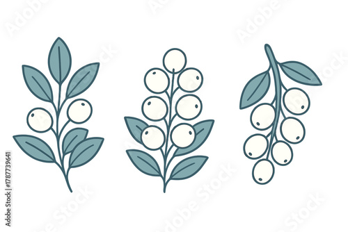 Three stylized white berry branches with blue-green leaves